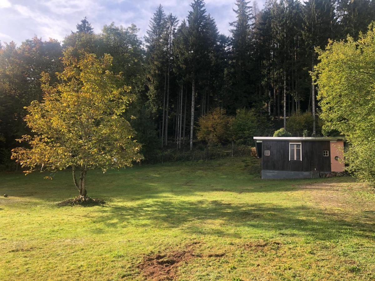 Le Clara Villa Saulxures Dış mekan fotoğraf