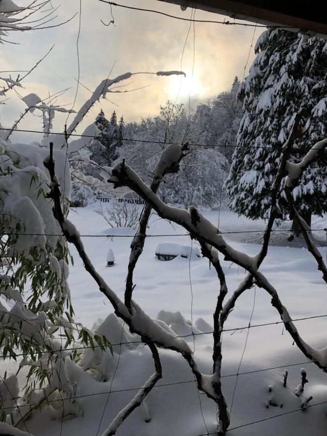 Le Clara Villa Saulxures Dış mekan fotoğraf