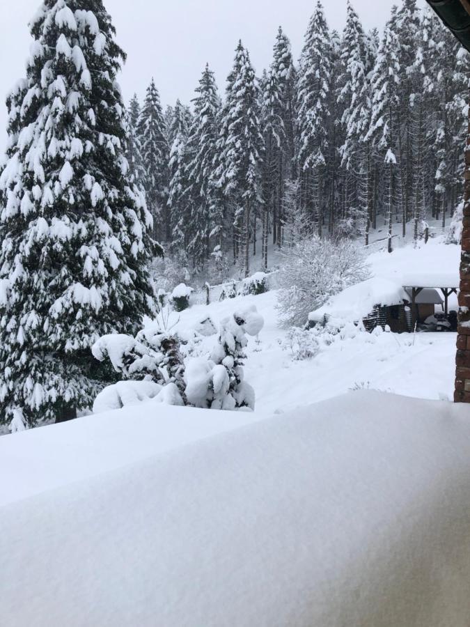 Le Clara Villa Saulxures Dış mekan fotoğraf