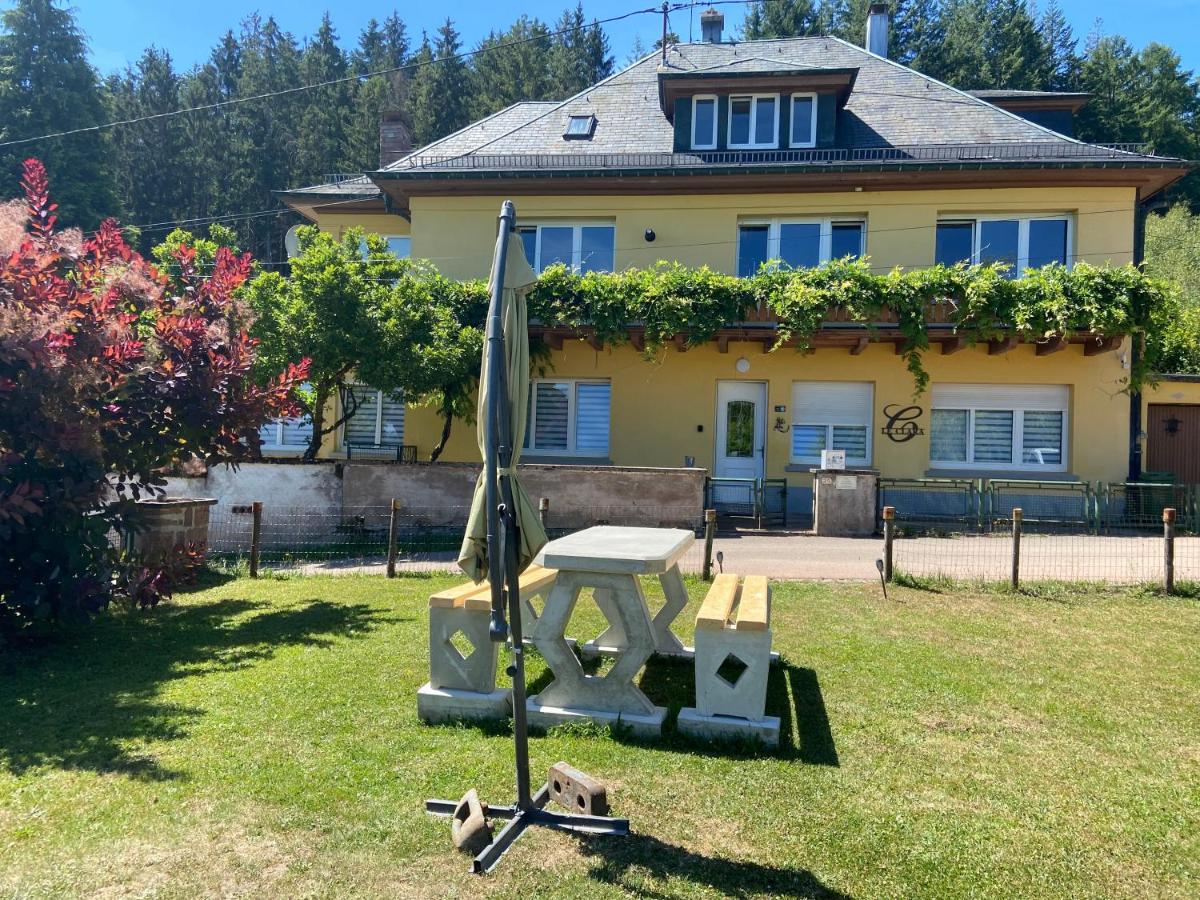 Le Clara Villa Saulxures Dış mekan fotoğraf